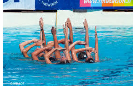 Formation Continue Natation Artistique