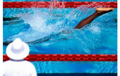 Formation Officiel A Natation Course