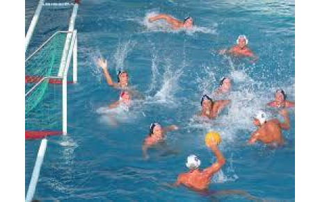 Formation et Recyclage Officiels Water Polo